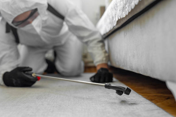 Professional Termite Control technician working in Kingstown, MD