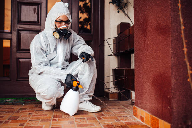 Reliable Termite Control contractor in Kingstown, MD by Nex Pest Control